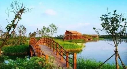 海湾湿地生态公园