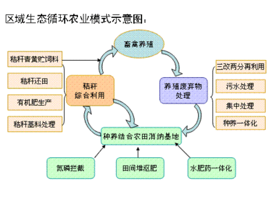 生态农业的产业特征是什么