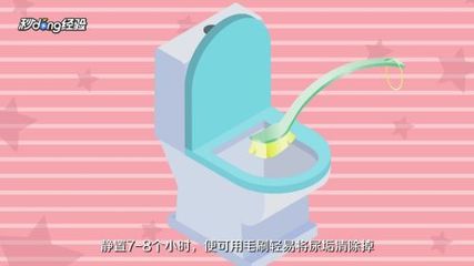 马桶的尿垢怎么去除