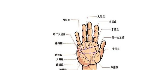 怎样看一个人的运势