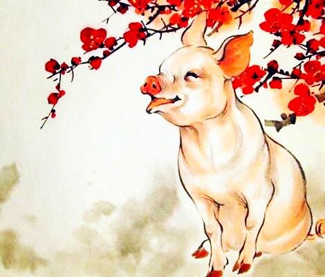 生肖狗和猪相配吗