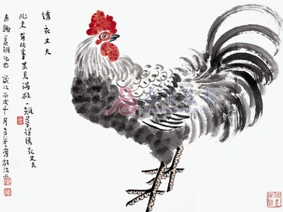 81年鸡是什么命