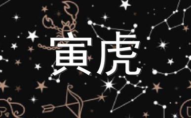 怀是什么生肖