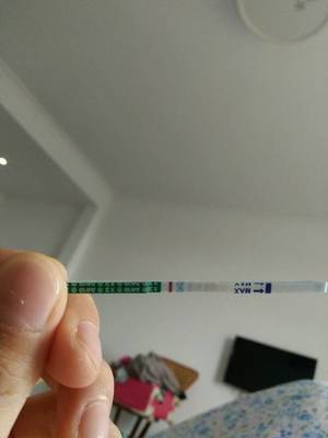 大姨妈推迟两天可以测出怀孕吗