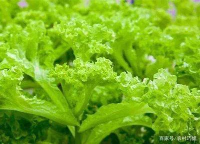 玻璃翠的功效