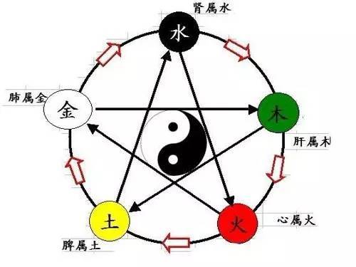 五行属木什么字最好