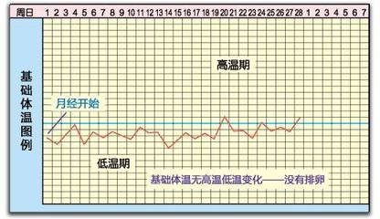 排卵期如何计算