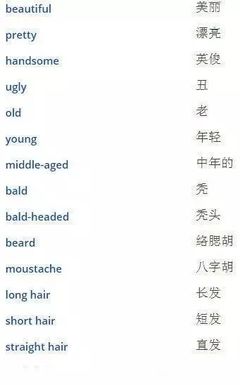 Moustache中文翻译