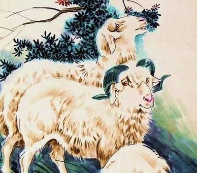 属羊的今年运气