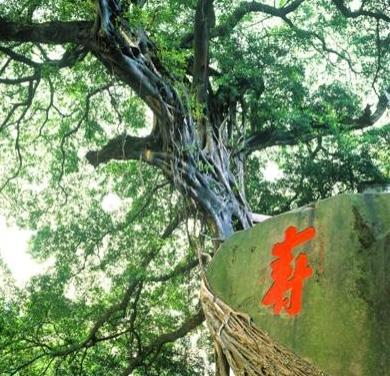赞美长征的句子
