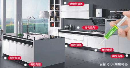 橱柜蚂蚁怎么办