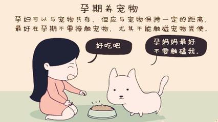 孕妇可以接触宠物吗