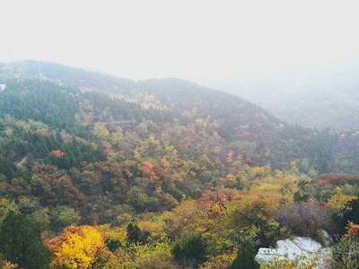 百望山自助游攻略