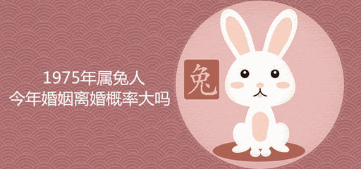 属兔今年桃花运如何