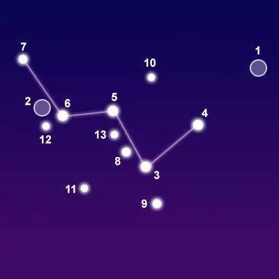 513是什么星座