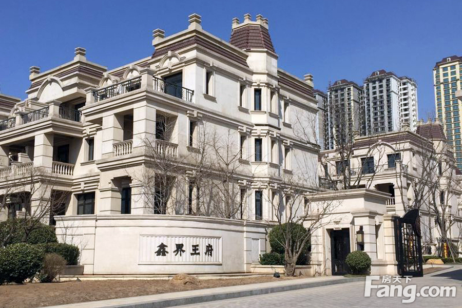 鑫界王府别墅