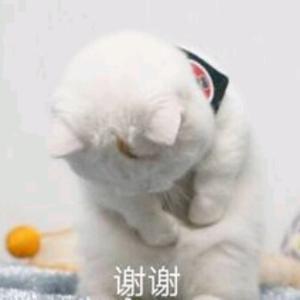成人男性体液占体重的多少