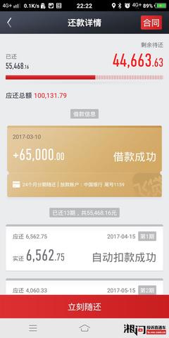 飞贷4万贷一年利息多少钱,4万