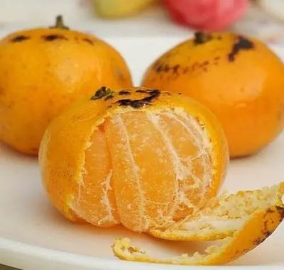 烧橘子吃治咳嗽吗
