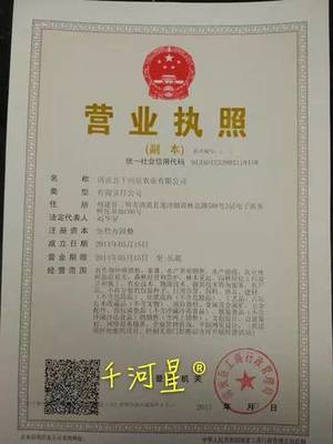 营业执照5年转让多少钱