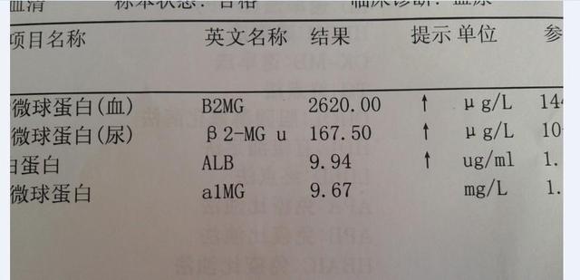 宝宝血常规化验单图解