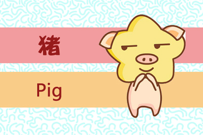 生肖猪和什么生肖最配