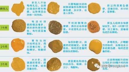 宝宝便便颜色