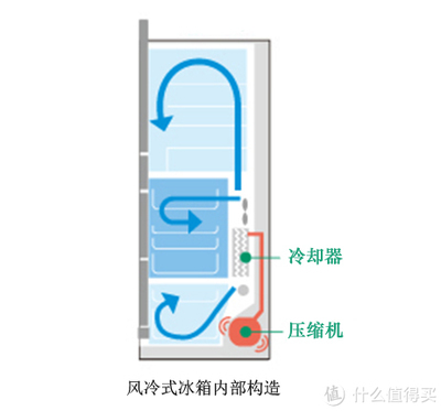 冰箱的内部结构