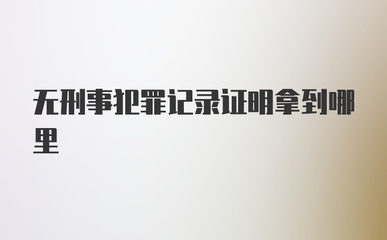 无刑事犯罪记录证明
