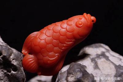 忻州彩鰈魚(yú)缸售后維護(hù)