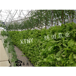 周易批八字算命
