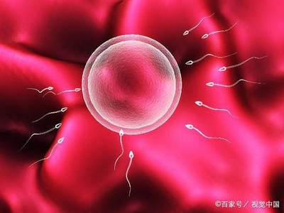 精子排出后能存活多久,精子排出后能在体内存活多久?