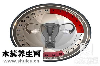 排卵期可以热敷肚子吗