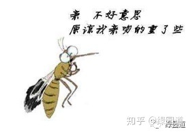 怎么抓蚊子一开灯就不见了