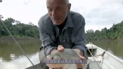 女人梦见自己买鱼