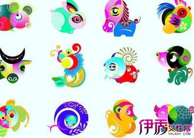 08什么生肖