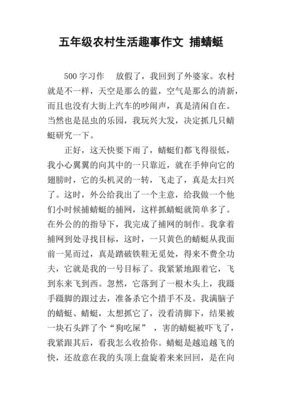 乡村生活是怎么样的200字作文