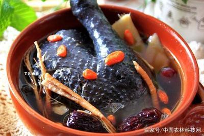 火腿乌鸡汤的做法大全家常