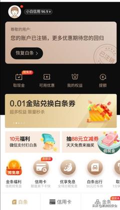 京东白条能提多少