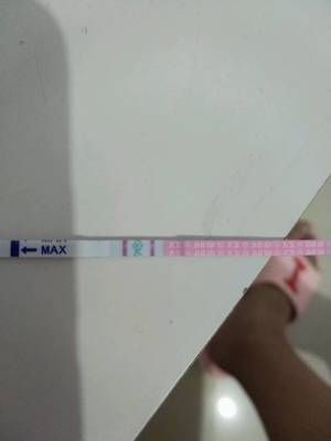 大姨妈走后几天是排卵期