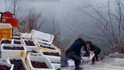 孕妇梦见吃小龙虾