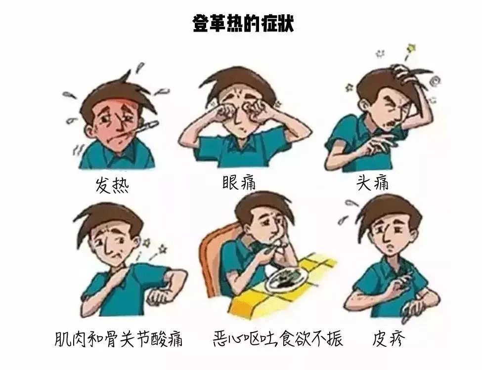 总是呕吐是怎么回事