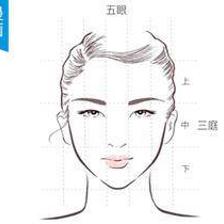 脸型画法