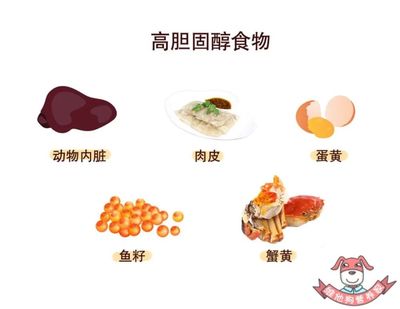 胆固醇高是怎么回事
