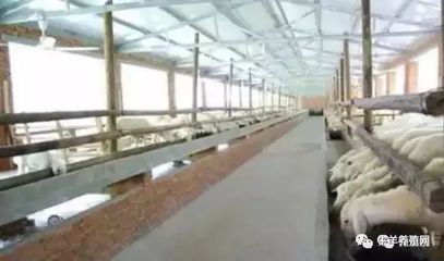 办养殖场需要哪些手续