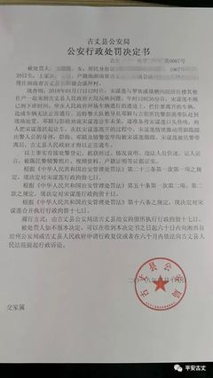 执行文言文怎么说