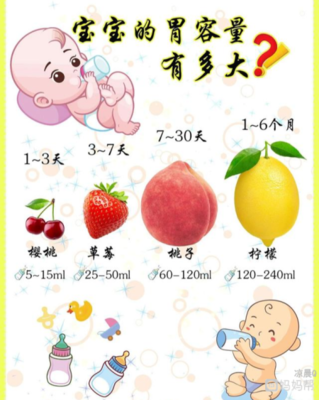 六个月的宝宝胃有多大