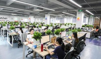 上海网络科技
