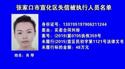 被执行失信人