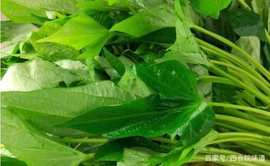 红薯叶腌制的做法大全家常